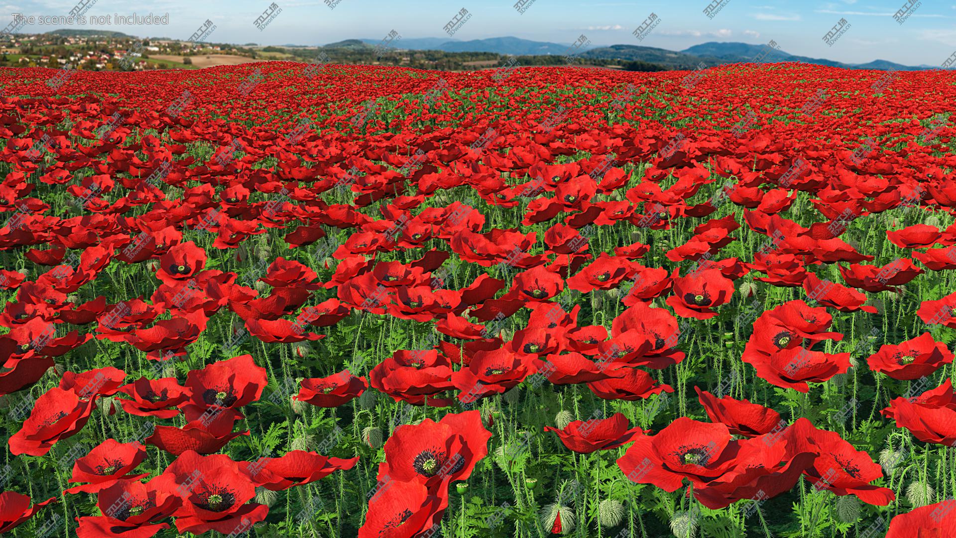 images/goods_img/2021040234/3D Stages of Poppy Flower Growth model/5.jpg